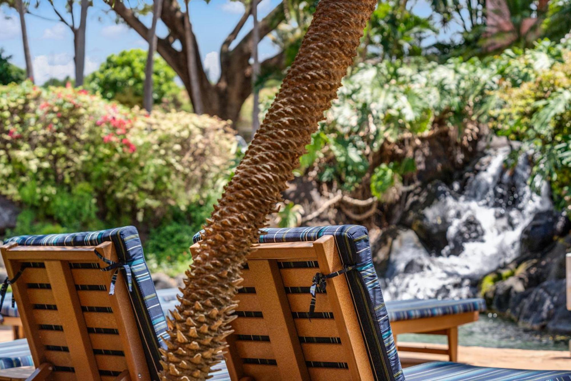Kahana Falls Resort Napili-Honokowai Εξωτερικό φωτογραφία